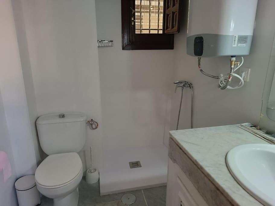 Appartement Catedral *